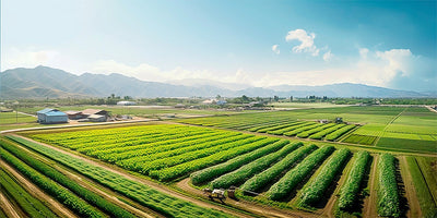 ABB Powers Sustainable Irrigation in Serres, Greece