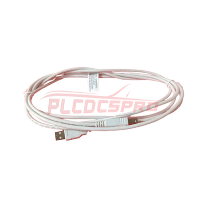 123M4610 | Bently Nevada 10 foot A to B USB Cable