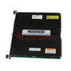 5464-013 | Modulo Driver di Ingresso Rtd Woodward Netcon 5000